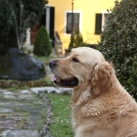 I Giardini Di Marcello - 1