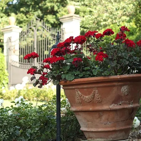 公寓 I Giardini Di Marcello - 1 Dicomano