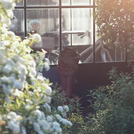 I Giardini Di Marcello - 1 公寓 Dicomano